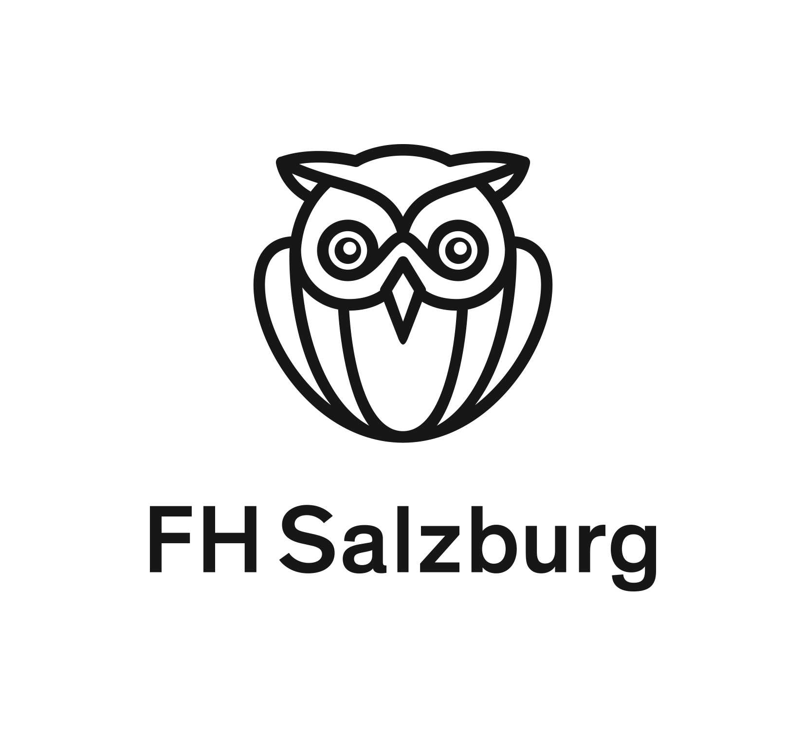 fh salzburg logo de gross 002