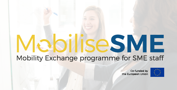 mobilise sme