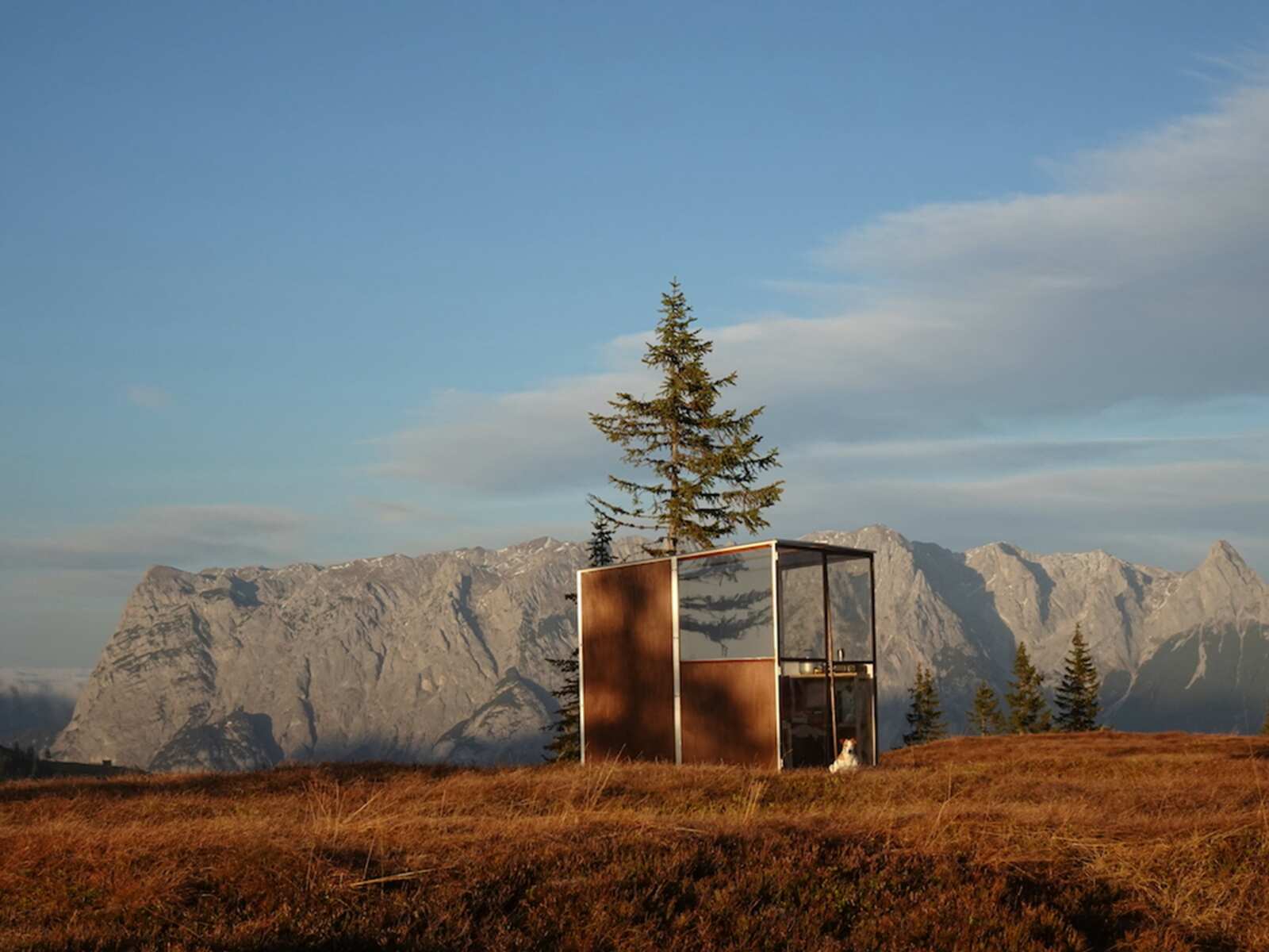 Pop up shed1