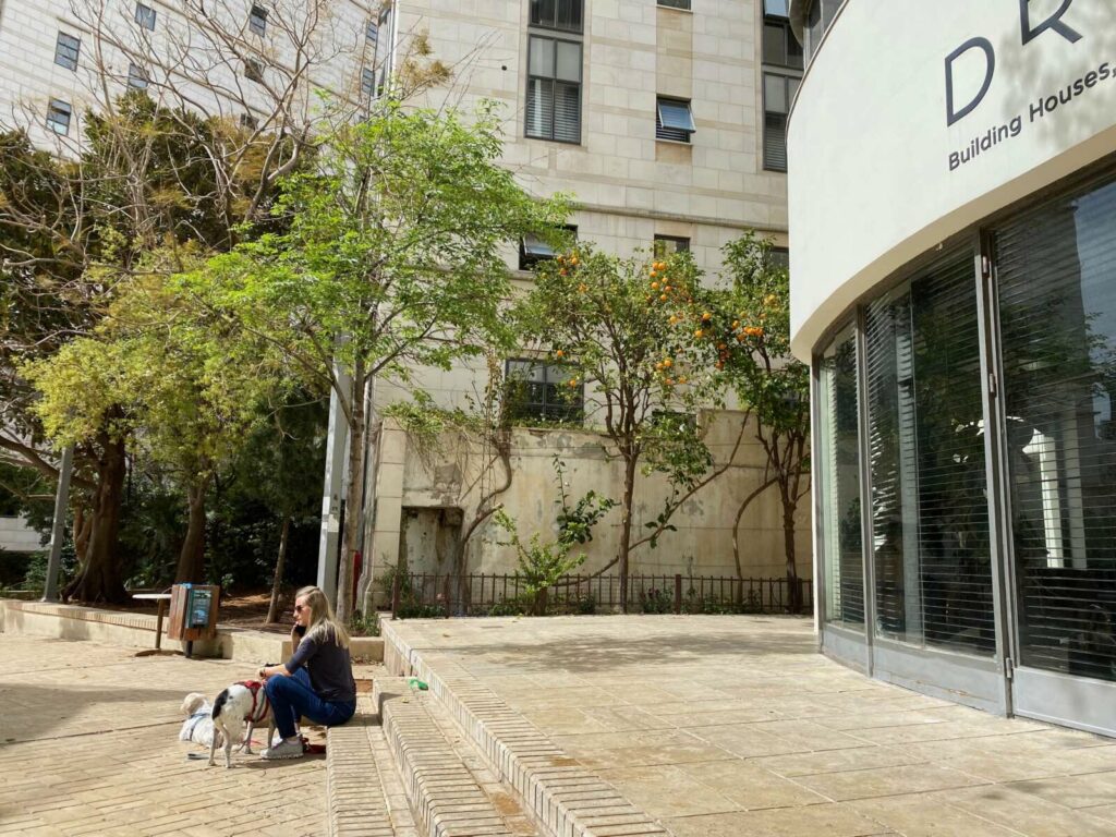 patio of the office1