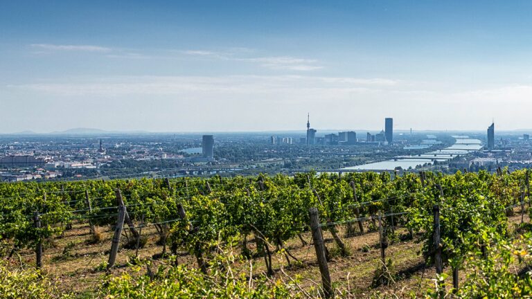 nussberg cwirtschaftsagenturwien davidbohmann ppt quer