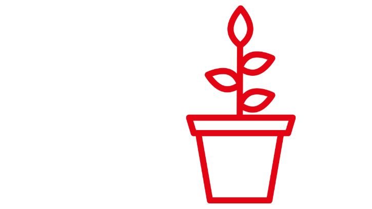 Eine einfache rote Umrisszeichnung einer Topfpflanze mit vier Blättern, zentriert auf einem weißen Hintergrund, symbolisiert Wachstum und innovative Lösungen für kreative Unternehmen.