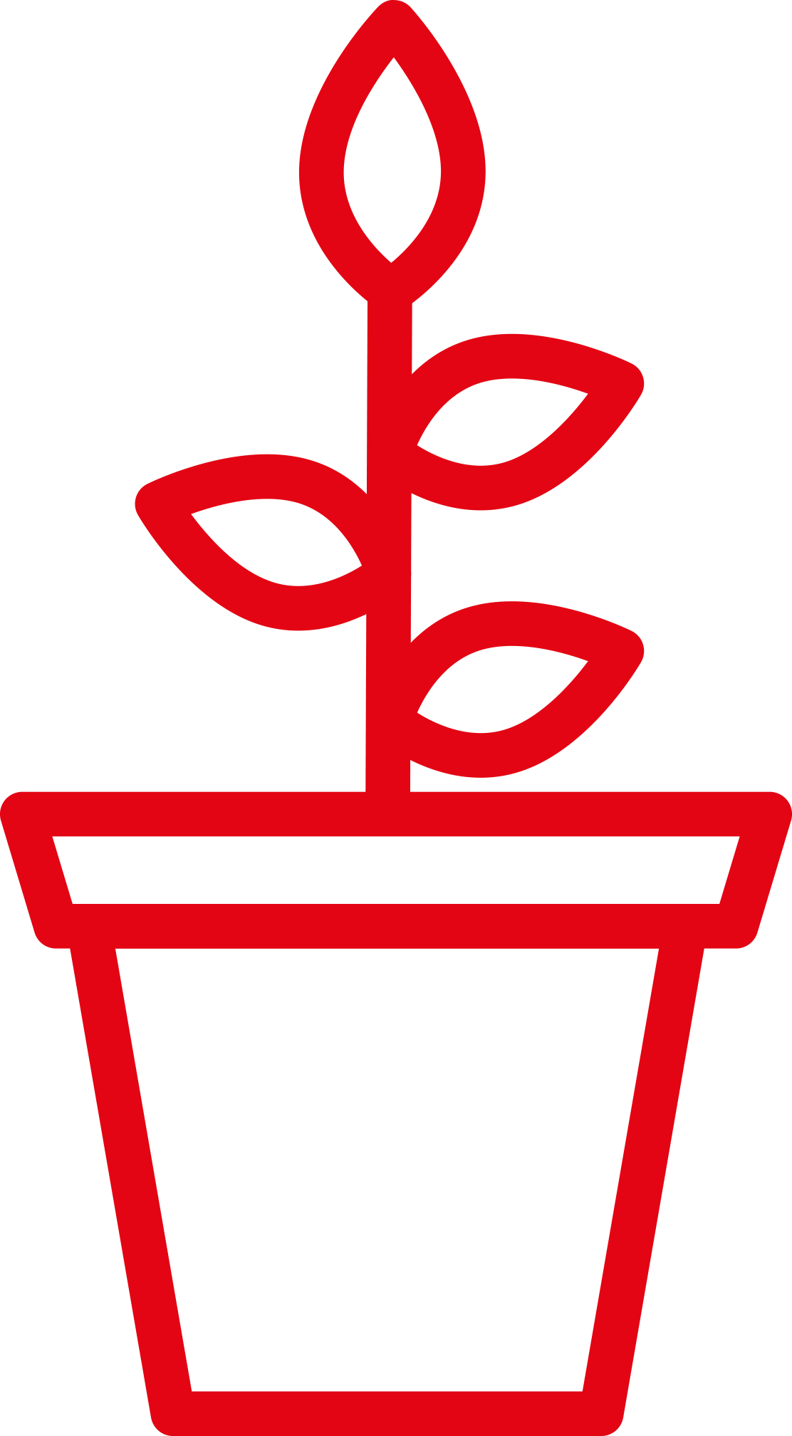 Auf weißem Hintergrund ist der einfache rote Umriss einer Topfpflanze mit einem Stiel, drei Blättern und einer spitzen Spitze zu sehen – als Symbol für das Wachstum innerhalb des Ökosystems der Kreativwirtschaft.