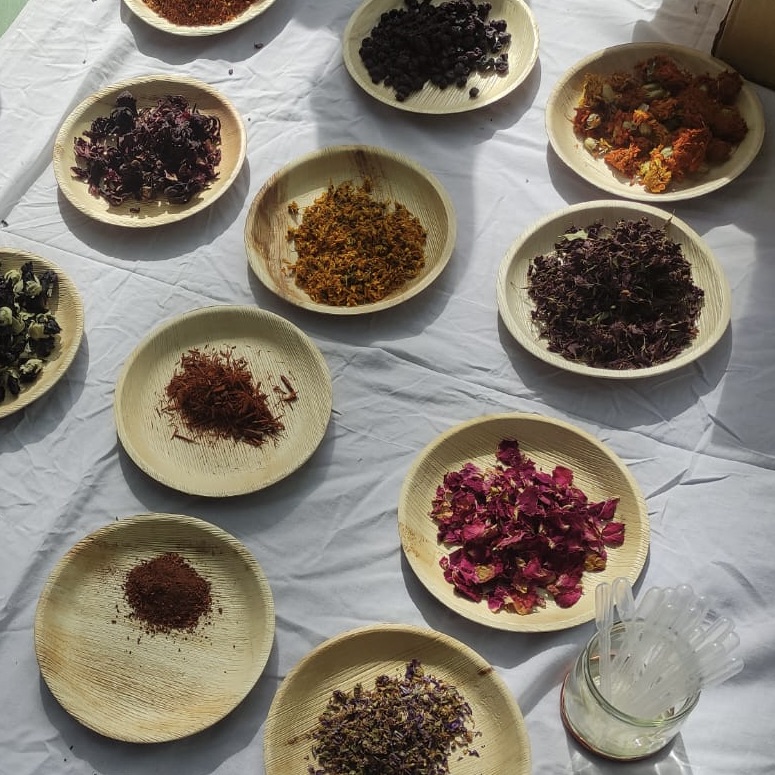 A variety of dried flowers and spices, arranged on round plates on a white tablecloth and bathed in sunlight and shadow, create imaginative worlds of colors and textures. Clear plastic spoons sit in a small glass next to them, adding to the sense of a thoughtfully curated setting.
